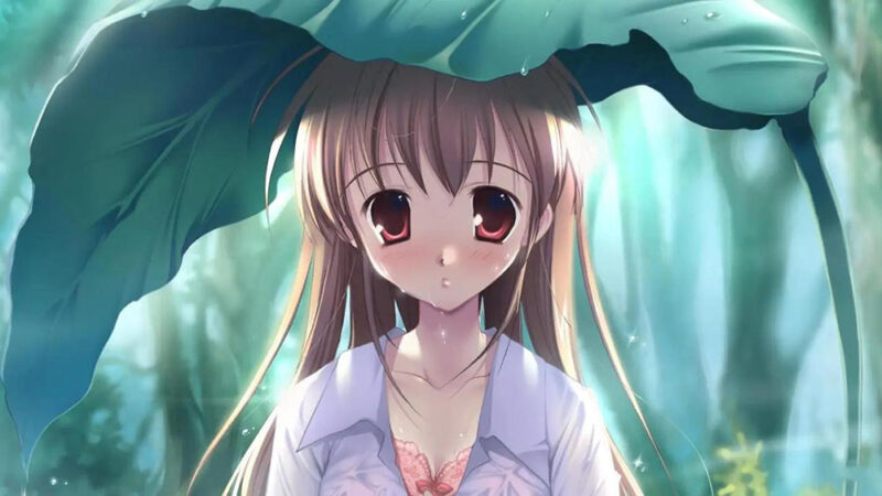 京东采集全自动挂机，全网最新玩法，新手一天轻松500+-娱乐网赚