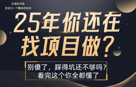 25年，你还在疯狂的找项目吗？别傻了，看完这个你都懂了【揭秘】-娱乐网赚