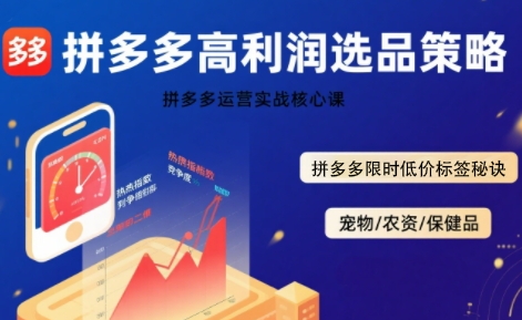 拼多多选品暴利技术实战课，拼多多高利润选品策略，拼多多限时低价标签秘诀-娱乐网赚