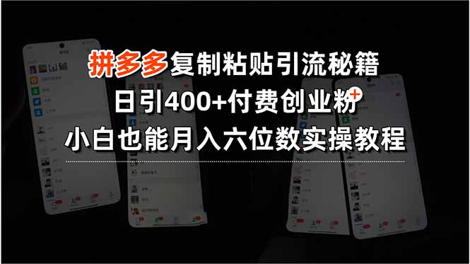 拼多多复制粘贴引流秘籍，日引400+付费创业粉，小白也能月入六位数实操…-娱乐网赚