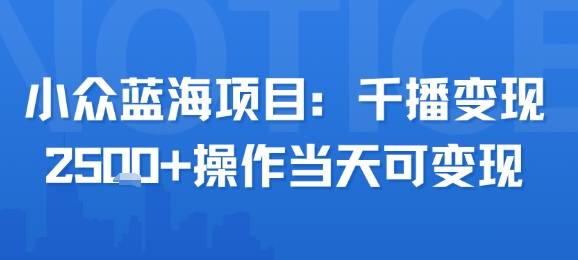 小众蓝海项目，千播变现2.5k+操作当天可变现-娱乐网赚