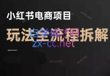 菲菲老师·小红书电商玩法(更新7月)-娱乐网赚