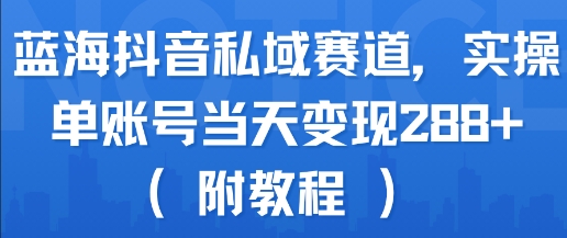 蓝海抖音私域赛道，实操单账号当天变现288+(附教程)-娱乐网赚