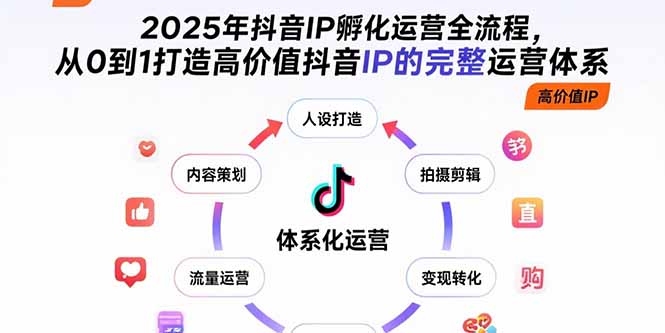 2025年抖音IP孵化运营全流程，从0到1打造高价值抖音IP的完整运营体系-娱乐网赚