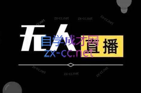 宝子哥·无人直播-非实时防风技术(更新7月)-娱乐网赚