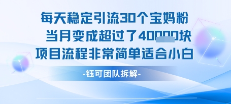 每天稳定引流30个人 当月变成超过了4个W项目流程非常简单适合小白-娱乐网赚