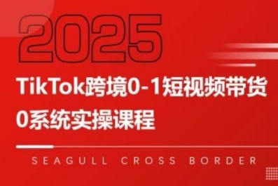 TikTok跨境0-1短视频带货，系统拆解TikTok跨境带货全链路，实现跨境可持续盈利-娱乐网赚