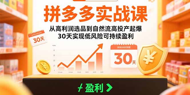 拼多多实战课：从高利润选品到自然流高投产起爆 30天实现低风险可持续盈利-娱乐网赚