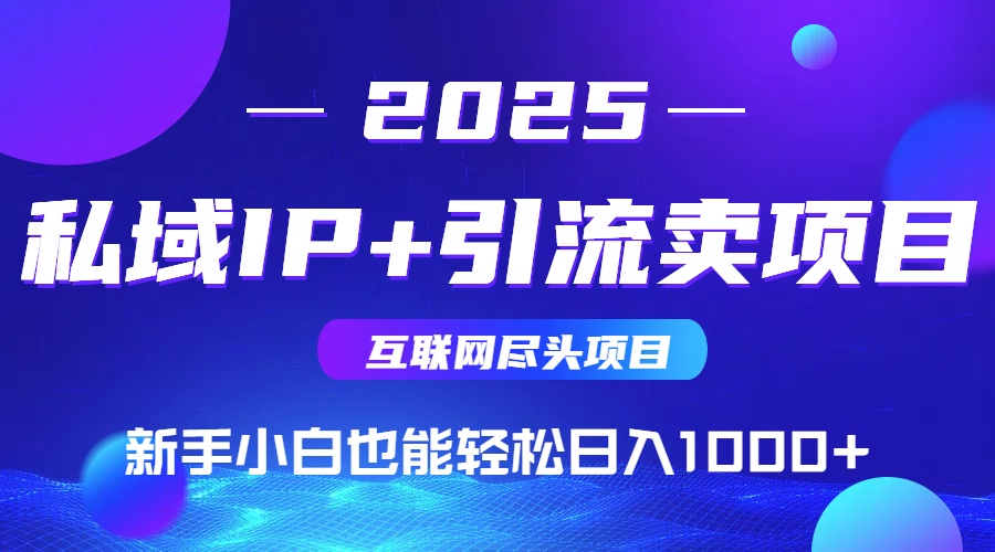 2025网创尽头项目，私域IP+引流，新手小白也能在家日入1000+-娱乐网赚