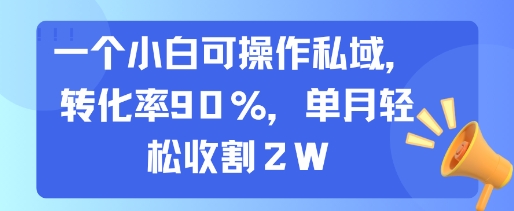 一个小白可操作私域，转化率90%，单月轻松收割2W-娱乐网赚