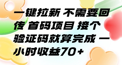 一键拉新 不需要回传 首码项目 接个验证码就算完成 一小时收益70+【揭秘】-娱乐网赚