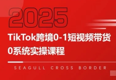 大亿老师·TikTok跨境0-1短视频带货-娱乐网赚