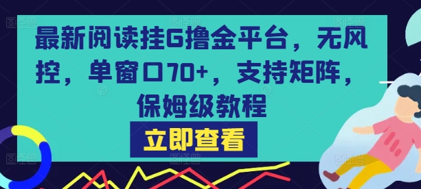 最新阅读挂G撸金平台，无风控，单窗口70+，支持矩阵，保姆级教程【揭秘】-娱乐网赚