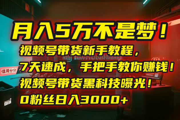月入5万不是梦！视频号带货新手教程，7天速成，手把手教你赚钱！视频号…-娱乐网赚