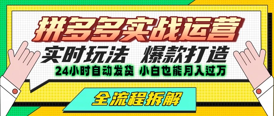 拼多多最新实战运营高投产：长久稳定项目，单店利润一天三位数-娱乐网赚