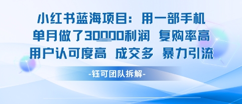 小红书蓝海项目，一部手机单月做了3W利润，小白也能月入过1W用户认可度高成交多-娱乐网赚
