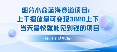 小众蓝海赛道项目：当天变现1k+适合新手操作 +适合长期玩-娱乐网赚