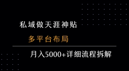 私域做天涯神贴 多平台布局 月入5k+详细流程拆解-娱乐网赚