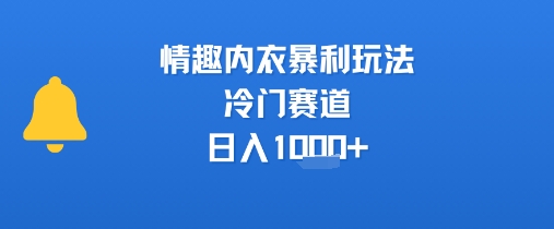 情趣内衣暴利玩法，冷门赛道，日入1k+-娱乐网赚