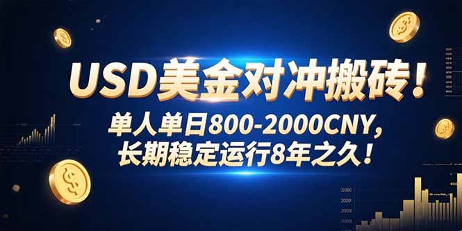 USD美金对冲搬砖!单人单日800-2000CNY，长期稳定运行8年之久!-娱乐网赚