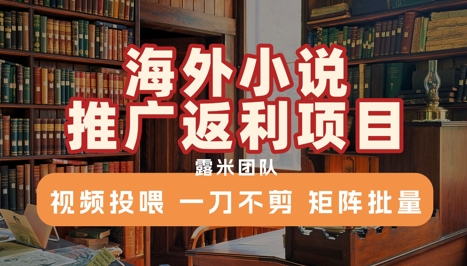 海外小说推广返利项目，视频投喂， 一刀不剪，矩阵批量-娱乐网赚