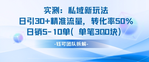 实测私域新玩法日引30加精准流量转化率50%日销5-10单每笔3张-娱乐网赚