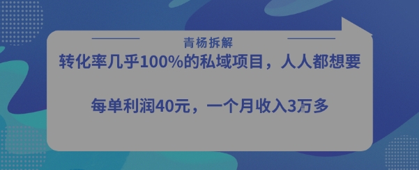 转化率最高的私域项目，每单利润40-50米，月入过1w-娱乐网赚