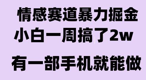 情感暴力掘金项目，新人操作一周挣了2W，长期稳定小白可做【揭秘】-娱乐网赚