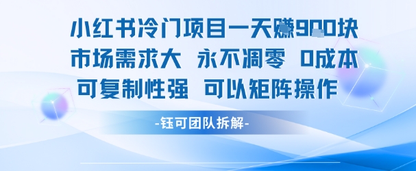 小红书冷门项目一天收益9张，市场需求大，0成本，可复制性强可以矩阵操作-娱乐网赚