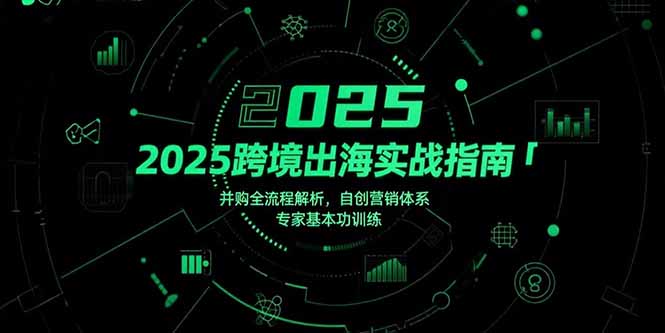 2025跨境出海实战指南，并购全流程解析，自创营销体系，专家基本功训练-娱乐网赚