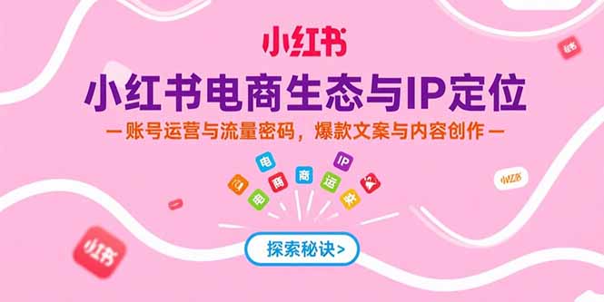 小红书电商生态与IP定位，账号运营与流量密码，爆款文案与内容创作-娱乐网赚