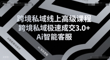 跨境私域线上高级课程，跨境私域极速成交3.0+Ai智能客服-娱乐网赚