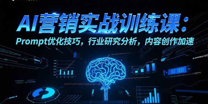 AI营销实战训练课：Prompt优化技巧，行业研究分析，内容创作加速-娱乐网赚
