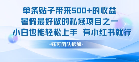 单条贴子带来5张的收益，暑假最好做的私域项目之一，小白也能轻松上手，有小红书就行-娱乐网赚