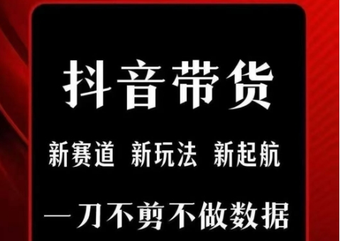 抖音短视频一刀不剪带货，不剪辑，不直播，每天发个视频，等着出单获取带货佣金-娱乐网赚