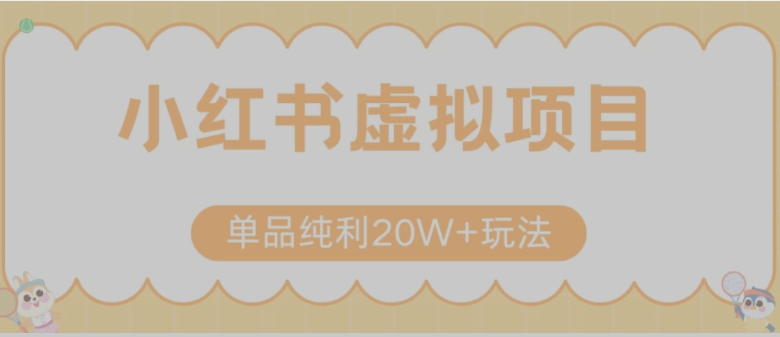 小红书卖虚拟产品，单品纯利20W+玩法分享（节系列课程）-娱乐网赚