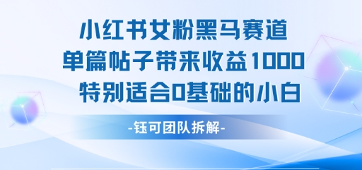 小红书女粉黑马赛道单篇帖子带来收益1k+，特别适合0基础的小白-娱乐网赚