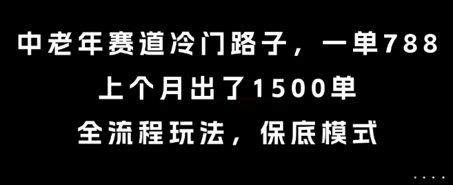 中老年赛道冷门路子，一单788，上个月出了1500单，全流程玩法，保底模式【揭秘】-娱乐网赚