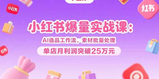 小红书爆量实战课：AI选品工作流，素材批量处理，单店月利润突破25万元-娱乐网赚