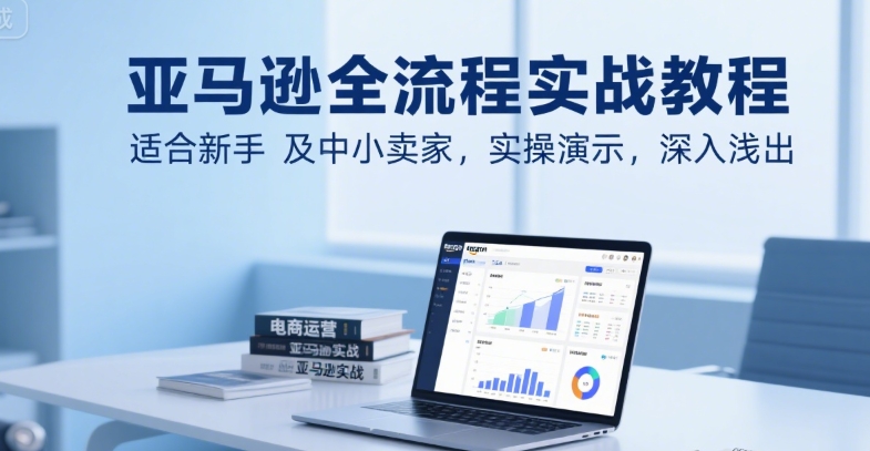 亚马逊全流程实战教程，适合新手及中小卖家，实操演示，深入浅出-娱乐网赚