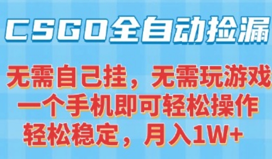 CSGO自动捡漏项目，最新独家玩法，一个手机可操作，新手小白轻松月入1W+，操作简单易上手【揭秘】-娱乐网赚