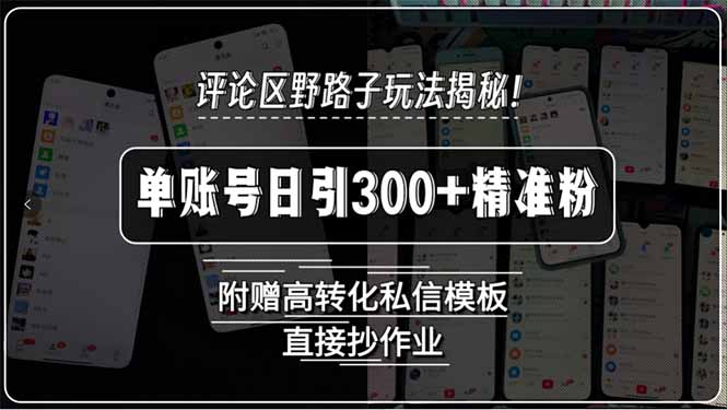 评论区野路子玩法揭秘！单账号日引300+精准粉，附赠高转化私信模板，直…-娱乐网赚