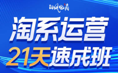 白凤电商·淘系运营21天速成班(更新7月)-娱乐网赚