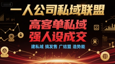 一人公司私域联盟，高客单私域，强人设成交，建私域 搞发售 广结盟 造势能-娱乐网赚