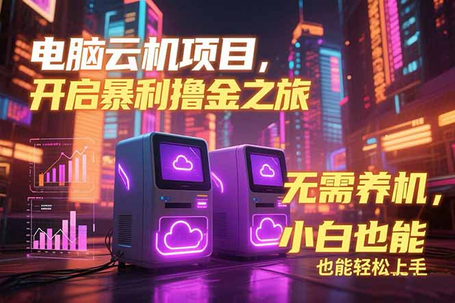 电脑云机项目 暴力撸金玩法，不需要养机 配置没有要求 单机100个窗口一…-娱乐网赚