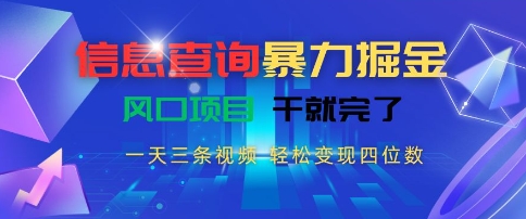 信息查询暴力掘金，一天三条视频，轻松变现四位数，风口项目干就完了【揭秘】-娱乐网赚