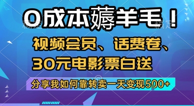 0成本薅羊毛!视频会员、话费卷、30元电影票白送，分享我如何靠转卖一天变现5张+【揭秘】-娱乐网赚