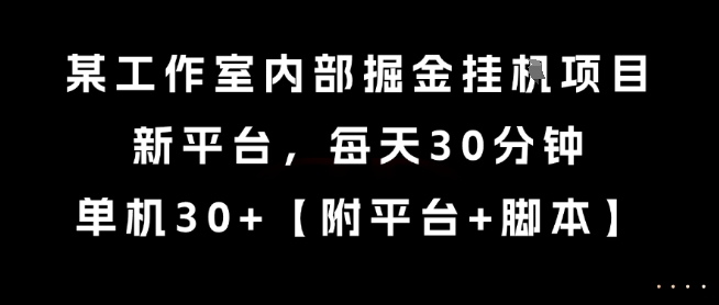 某工作室内部掘金挂G项目，新平台，每天30分钟，单机30+【揭秘】-娱乐网赚