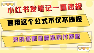 小红书发笔记一直违规，套用这个公式不仅不违规，来的还都是精准的付费粉-娱乐网赚