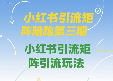 小红书引流矩阵陪跑第三期，小红书引流矩阵引流玩法-娱乐网赚